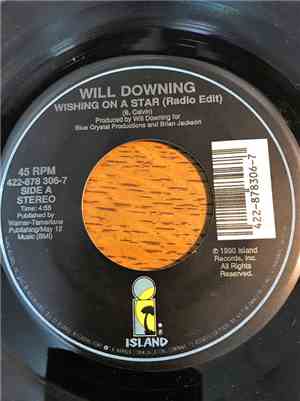 Will Downing - Wishing On A Star (Radio Edit)