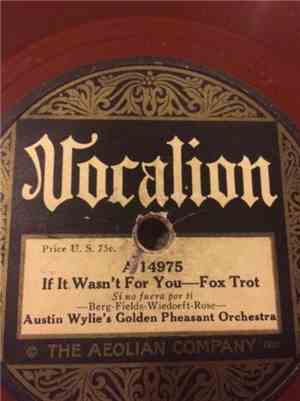 Austin Wylie's Golden Pheasant Orchestra - If It Wasn't For You / China Girl