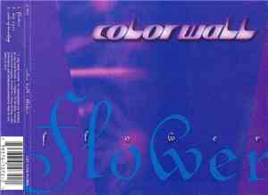 Color Wall - Flower
