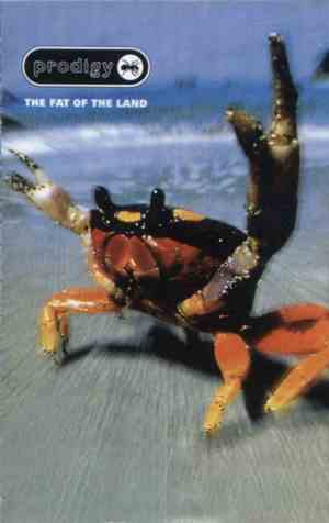 Prodigy - The Fat Of The Land