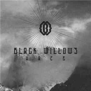 The Black Willows - Haze