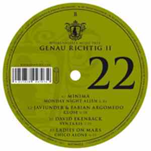 Various - Genau Richtig II