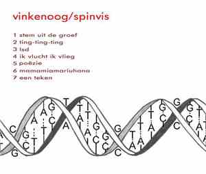 Vinkenoog / Spinvis - Ritmebox EP