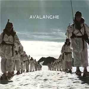Wonder Bear - Avalanche