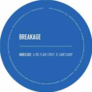 Breakage - Ric Flair Strut / Sanctuary