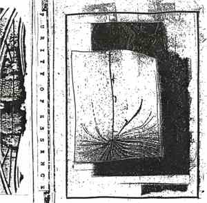 Purity Of Essence - Foundations