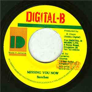 Sanchez - Missing You Now