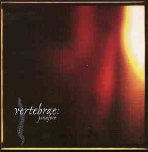 Vertebrae  - Pinafore