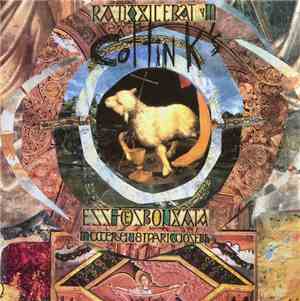 The Cottin K's - Hick Rock