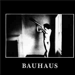 Bauhaus - In The Flat Field