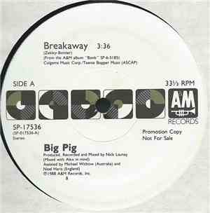 Big Pig - Breakaway