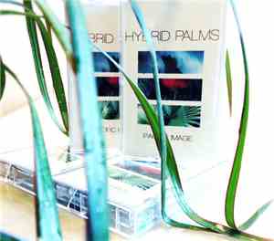 Hybrid Palms - Pacific Image