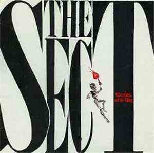 The Sect - Playing With Fire