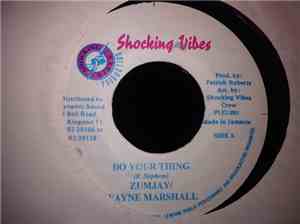 Zumjay / Wayne Marshall - Do Your Thing