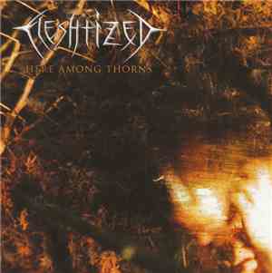 Fleshtized - Here Among Thorns