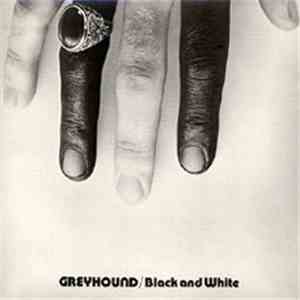 Greyhound  - Black And White
