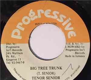 Tenor Senior - Big Tree Trunk