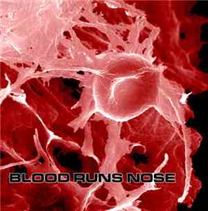 Blood Runs Nose - Blood Makes Noise 7''