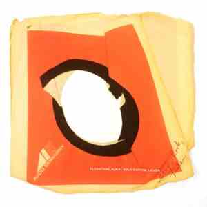Fleshtone Aura - Soliloquy For Lieven