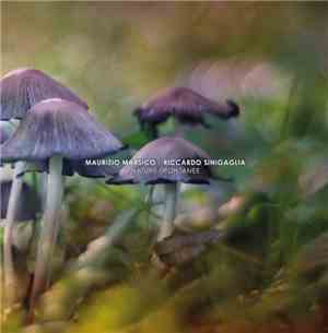 Maurizio Marsico, Riccardo Sinigaglia - Nature Spontanee