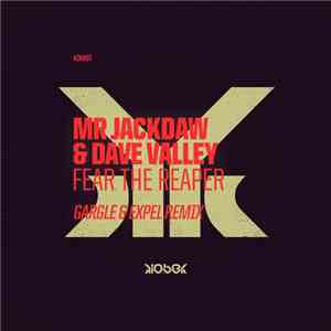 Mr Jackdaw & Dave Valley - Fear The Reaper