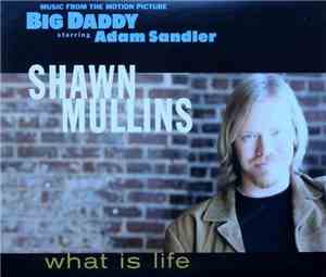 Shawn Mullins - What Is Life