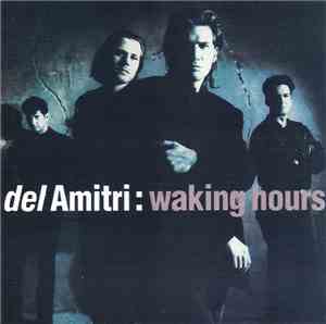 Del Amitri - Waking Hours