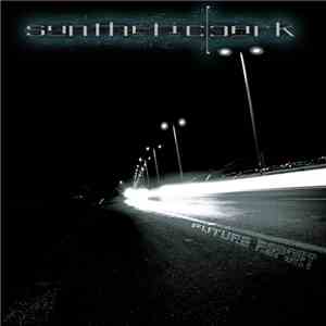 Synthetic Dark - Future Report