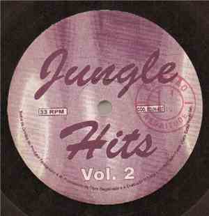 Various - Jungle Hits Vol.02