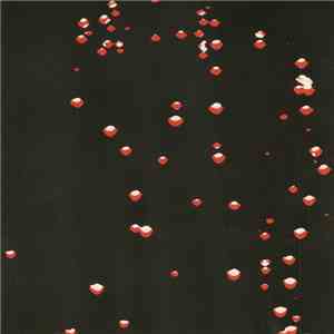 Container  - LP