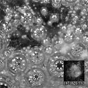 DENSO - 171110 / Incertezze