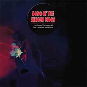 Tom Dissevelt & Kid Baltan - Song Of The Second Moon: The Sonic Vibrations Of Tom Dissevelt & Kid Baltan