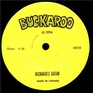 Unknown Artist - Buckaroo TV Theme Song