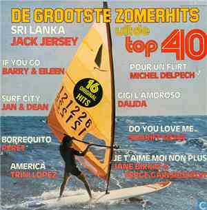 Various - De Grootste Zomerhits Uit De Top 40