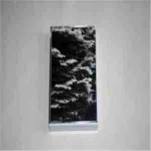 Woodpecker Wooliams - Sleeping Under Dark Suns