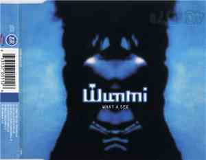 Wunmi - What A See