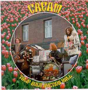 Cream  - Tulip Bulb Auction Hall