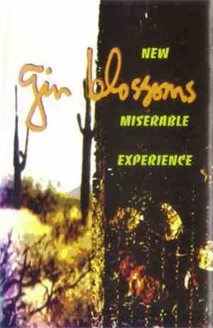 Gin Blossoms - New Miserable Experience