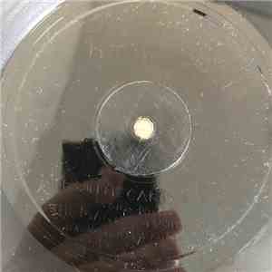 Various - The Embryonic Stethoscope EP