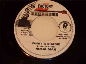 Ninja Man - What A Shame