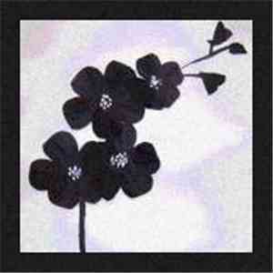 Deafness - Black Flowers