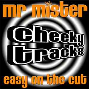 Mr Mister - Easy On The Cut