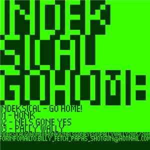 Indeksical - Go Home