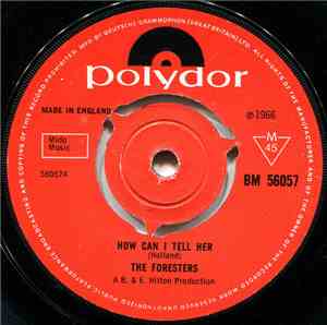 The Foresters  - How Can I Tell Her