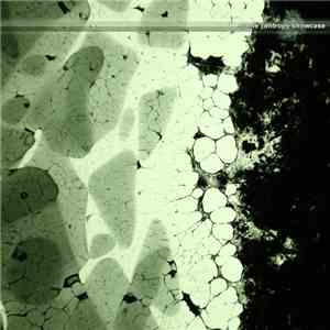 Syene - Entropy Showcase