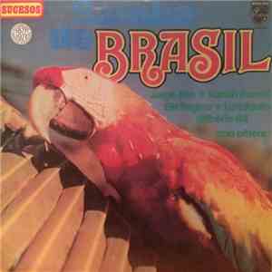 Various - Samba Do Brasil
