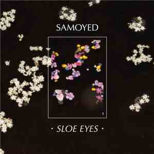Samoyed - Sloe Eyes