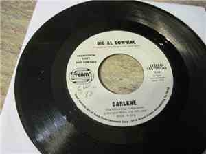 Big Al Downing - Darlene