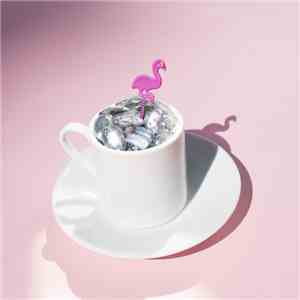 Pink Flamingo Rhythm Revue - On A Night Like This