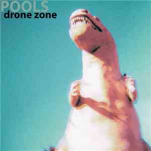 Pools  - Drone Zone